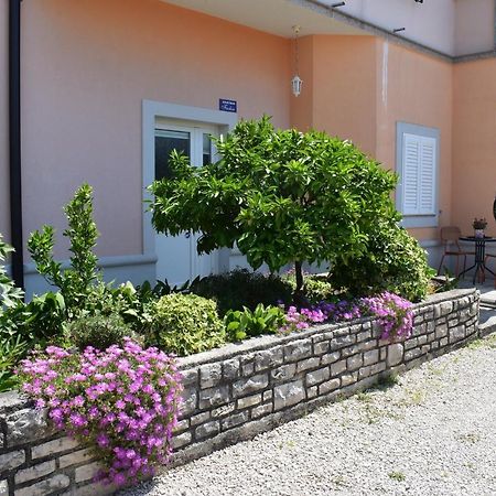 Apartman Fachin Motovun Kültér fotó